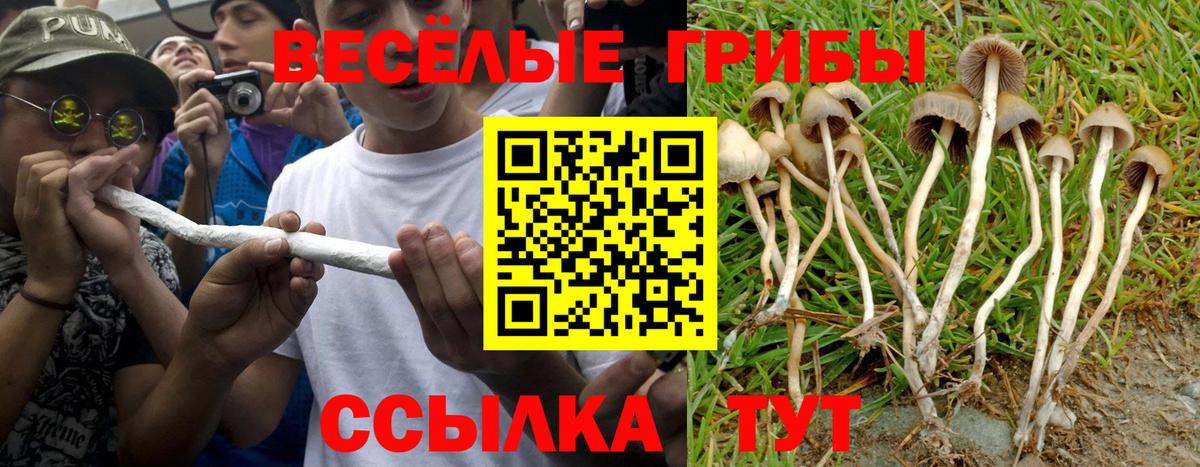 Кумертау  Псилоцибиновые грибы Magic Shrooms  Вход с VPN  что такое наркотик  Галлюциногенные грибы мухоморы 