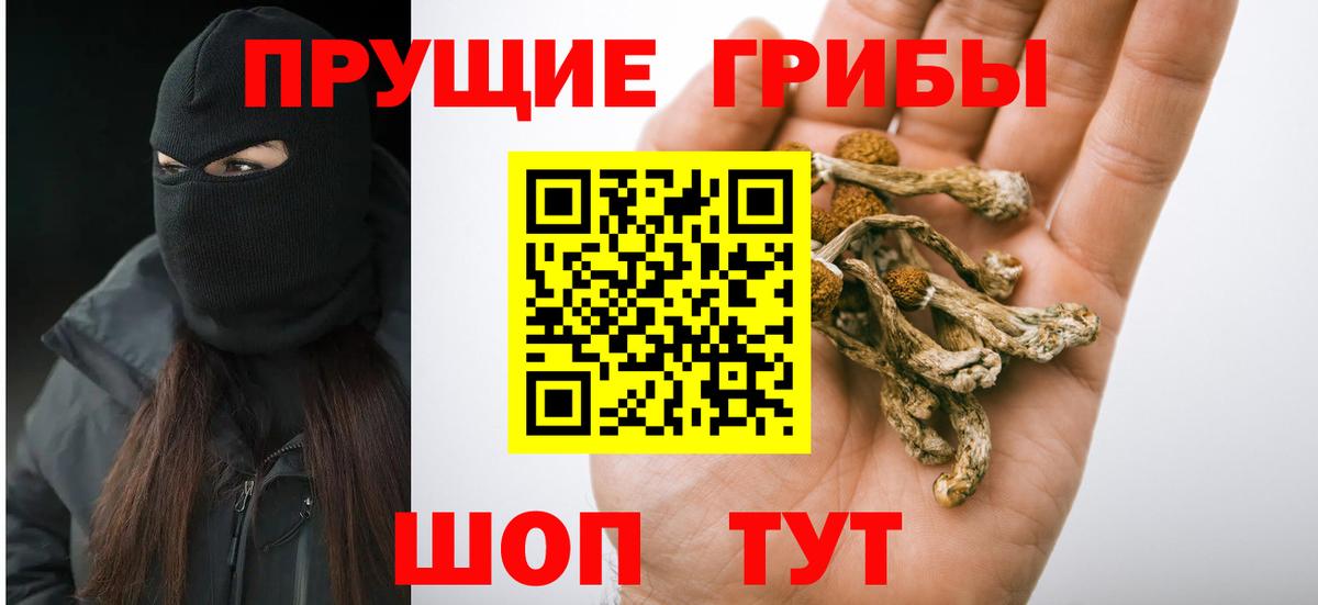 Псилоцибиновые грибы GOLDEN TEACHER Кумертау